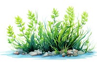 Seaweed, digital paint illustration. AI generated image