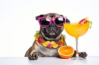 Sunglasses drink dog cocktail. 