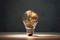 Lightbulb flower plant electricity. 