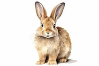 Mammal animal rodent rabbit. AI generated Image by rawpixel.
