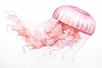 Jellyfish pink invertebrate underwater. AI generated Image by rawpixel.