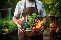 Garden vegetable gardening standing. 