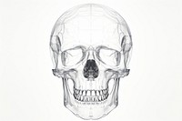 Xray drawing sketch illustrated. AI generated Image by rawpixel.