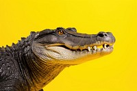 Alligator reptile animal yellow. 