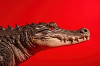 Alligator dinosaur reptile animal. AI generated Image by rawpixel.