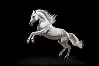 Horse stallion jumping animal. AI generated Image by rawpixel.