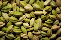 Backgrounds cardamom plant food. 