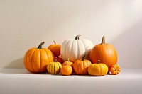 Vegetable pumpkin squash plant. 