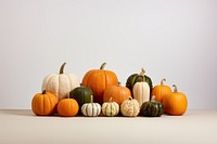 Vegetable pumpkin squash plant. 