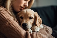 Puppy mammal animal sofa. 