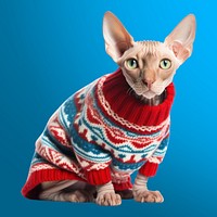 Sweater animal mammal pet. AI generated Image by rawpixel.