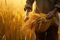 Harvest farm outdoors carrying. 