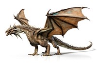 Dragon dinosaur reptile animal. 