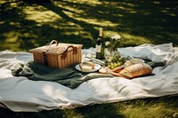 Picnic summer basket plate. 