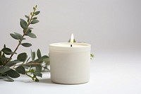 Candle plant flowerpot cylinder. 