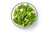 Food vegetable arugula salad. 