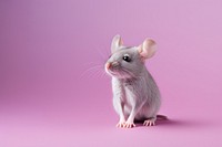Animal rodent mammal mouse. AI generated Image by rawpixel.