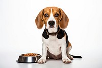 Beagle pet dog animal. AI generated Image by rawpixel.