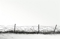 Wire fence white tranquility
