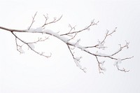 Snow outdoors branch nature. AI generated Image by rawpixel.