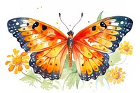 Butterfly insect animal flower. 