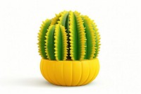 Cactus yellow plant white background. AI generated Image by rawpixel.
