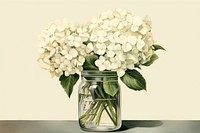 Flower jar hydrangea plant. 