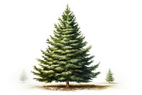 Christmas tree plant pine. AI generated Image by rawpixel.