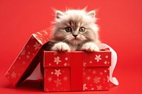 Christmas mammal animal kitten. AI generated Image by rawpixel.