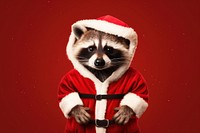 Raccoon christmas costume mammal. 