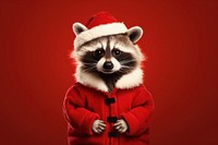 Raccoon christmas mammal animal. 