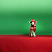 Christmas figurine green red. AI generated Image by rawpixel.