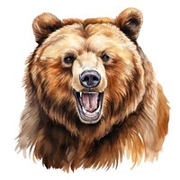 Bear mammal animal brown. AI generated Image by rawpixel.