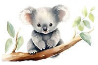 Koala mammal animal representation. 