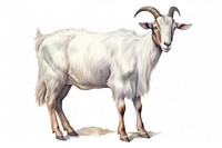 Livestock animal mammal sheep. AI generated Image by rawpixel.