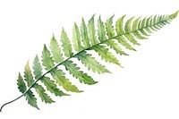 Leaf fern plant freshness. AI generated Image by rawpixel.