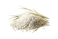 Plant wheat food rice. AI generated Image by rawpixel.