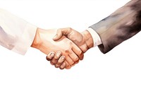 Handshake adult white background togetherness. 