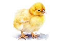 Chicken poultry animal yellow. AI generated Image by rawpixel.
