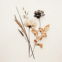 Flower plant art white background. AI generated Image by rawpixel.