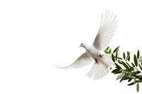 Animal branch white bird. AI generated Image by rawpixel.