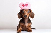 Dog dachshund animal mammal. AI generated Image by rawpixel.