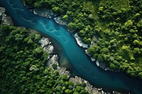 River outdoors nature forest. 