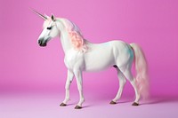 Stallion animal mammal horse. AI generated Image by rawpixel.