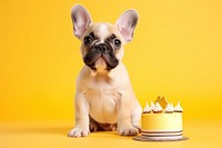 Bulldog cake dessert mammal. AI generated Image by rawpixel.