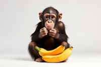 Ape chimpanzee monkey mammal. AI generated Image by rawpixel.