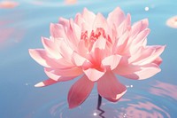 Flower outdoors floating blossom. AI generated Image by rawpixel.