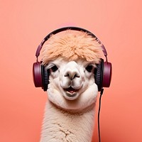 Headphones headset mammal alpaca. 