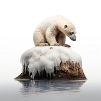 Bear wildlife animal mammal. AI generated Image by rawpixel.