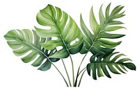 Plant leaf fern freshness. AI generated Image by rawpixel.